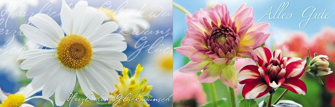 Zwei Glückwunschkarten aus der Kategorie "Blumengrüße"