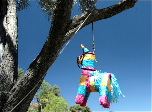 Pinata in Pferdeoptik