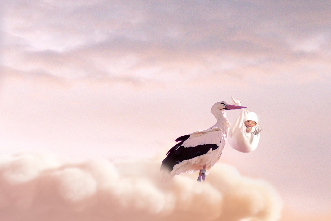 Storch mit Baby