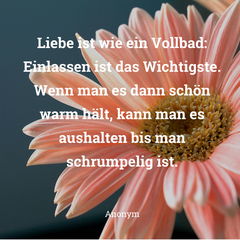 Hochzeitssprüche für Karten & Gästebuch finden mit Anleitung