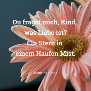 Lustiger Hochzeitsspruch Heinrich Heine „Du fragst mich, Kind, was Liebe ist? Ein Stern in einem Haufen Mist.“