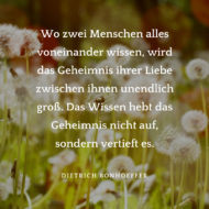 Hochzeitssprüche für Karten & Gästebuch finden mit Anleitung