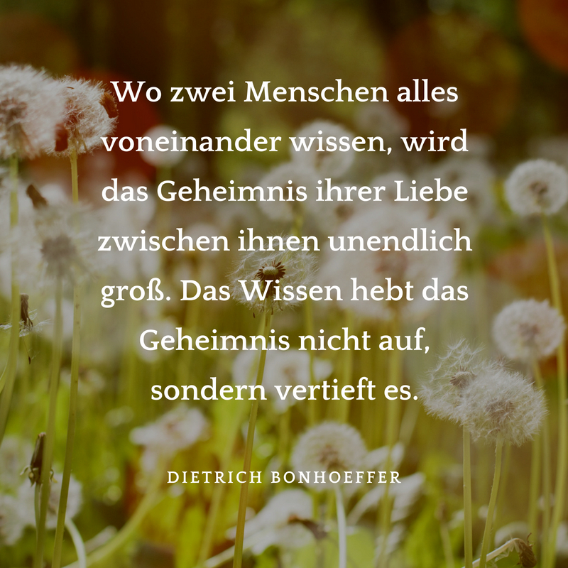 Hochzeitssprüche für Karten & Gästebuch finden mit Anleitung