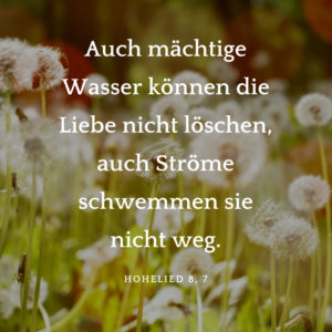 Biblischer Hochzeitsspruch Hohelied „Auch mächtige Wasser können die Liebe nicht löschen, auch Ströme schwemmen sie nicht weg.“