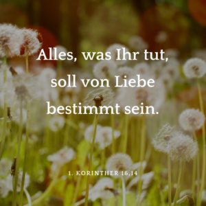 Biblischer Hochzeitsspruch Korinther „Alles, was Ihr tut, soll von Liebe bestimmt sein.“