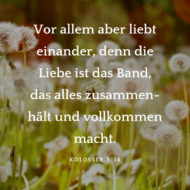 Hochzeitssprüche für Karten & Gästebuch finden mit Anleitung