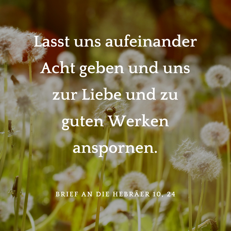 Hochzeitssprüche für Karten & Gästebuch finden mit Anleitung