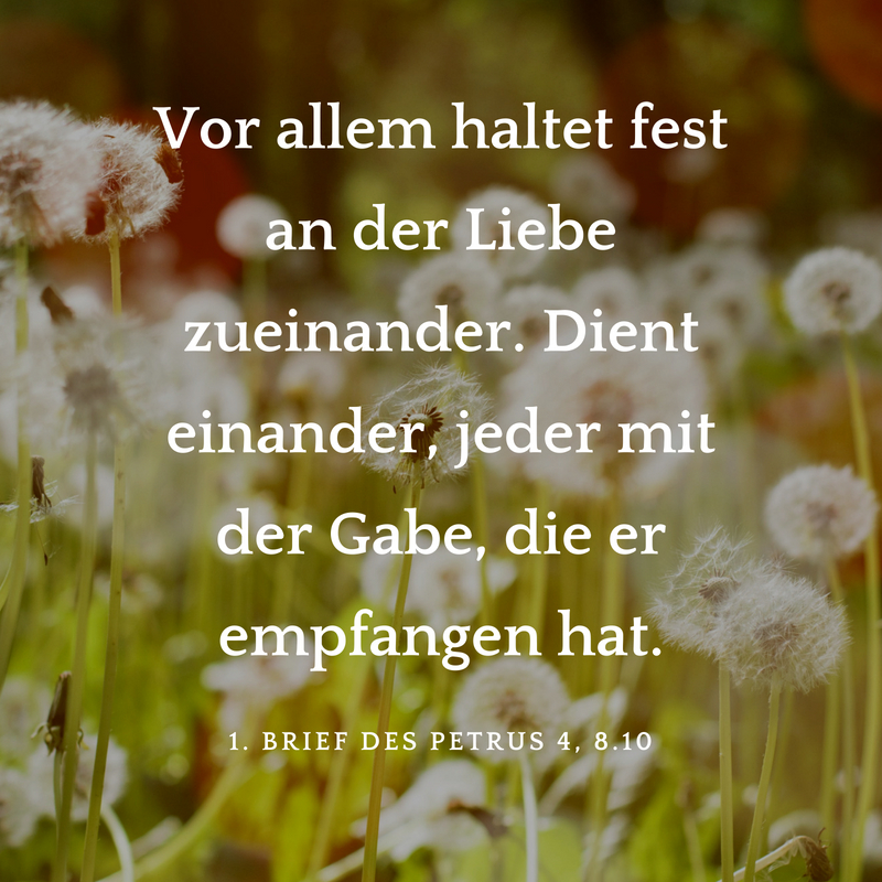 Hochzeitssprüche für Karten & Gästebuch finden mit Anleitung