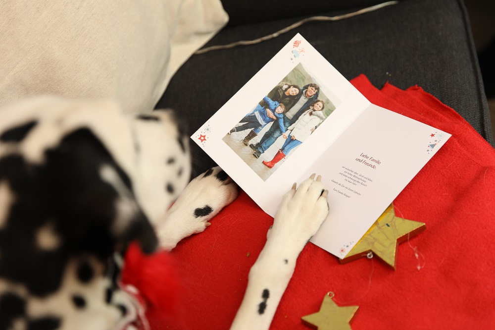Hund mit Weihnachtskarte privat