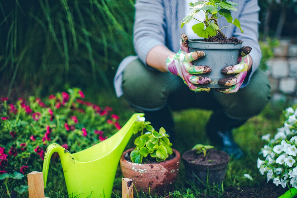 Gartenarbeit im Ruhestand