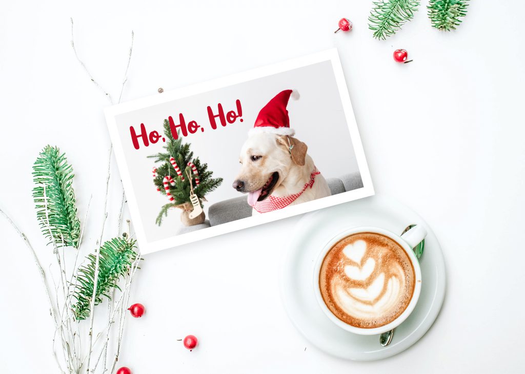 Selbst gestaltete Weihnachtskarte mit Hundefoto.