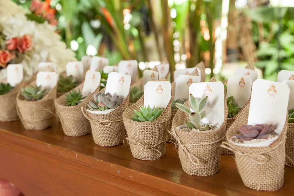 Sukkulenten als Gastgeschenke zur Hochzeit verpackt