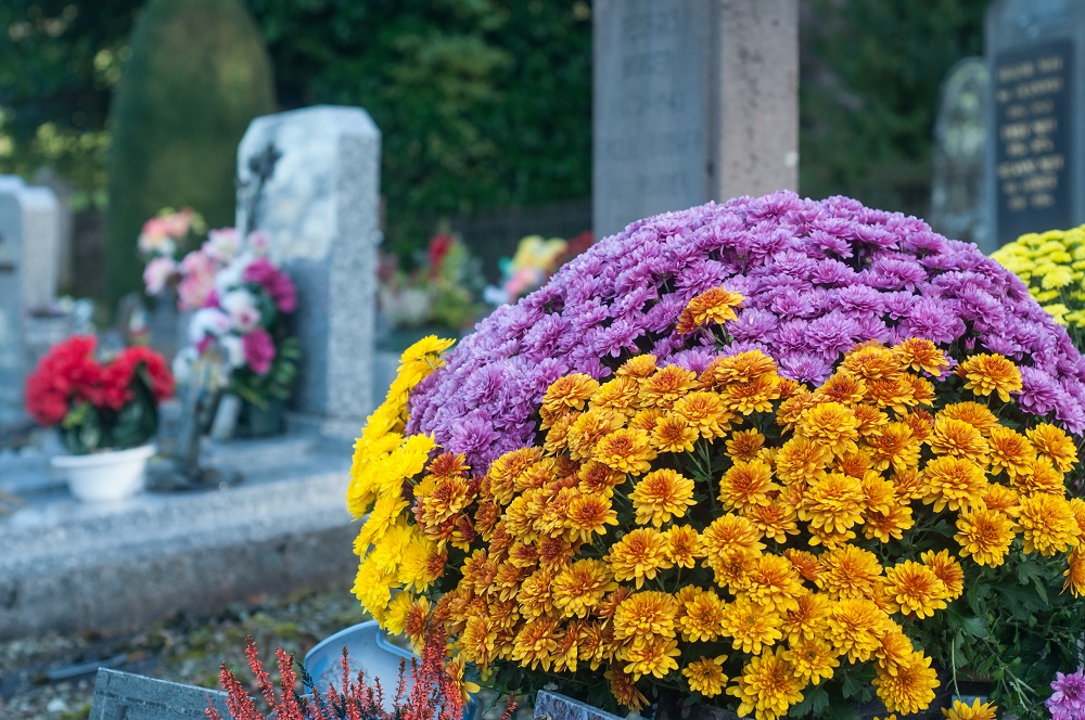 Chrysanthemen in Lila, Orange und Gelb auf einer Beerdigung
