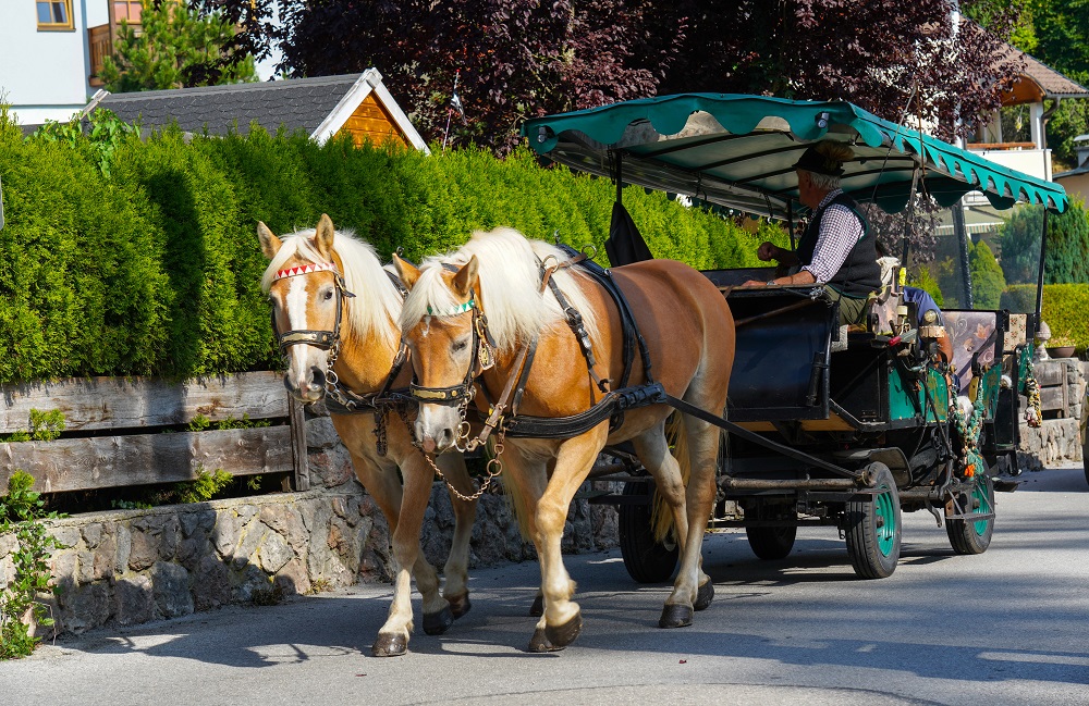Kutsche fährt durch eine Kleinstadt