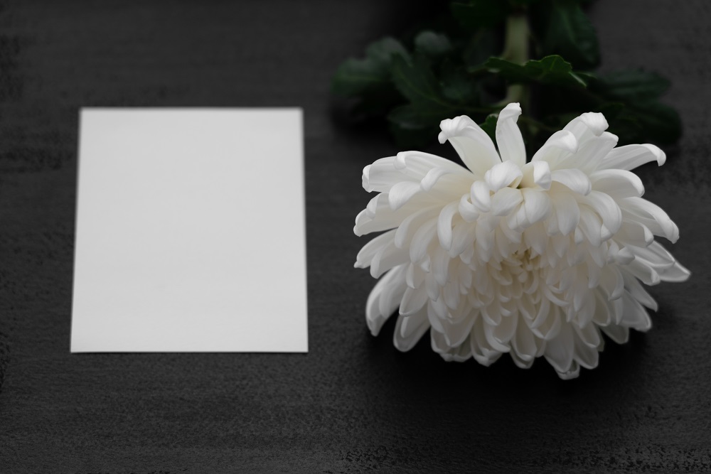 Weiße Blume neben leerem Papier