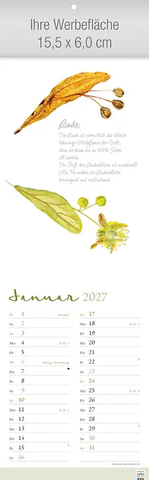 Herbarium