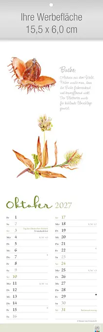 Herbarium