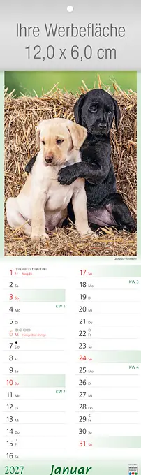 Tier-Freunde