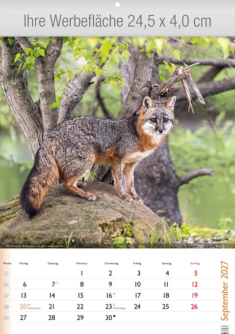 Wunderbare Tiere
