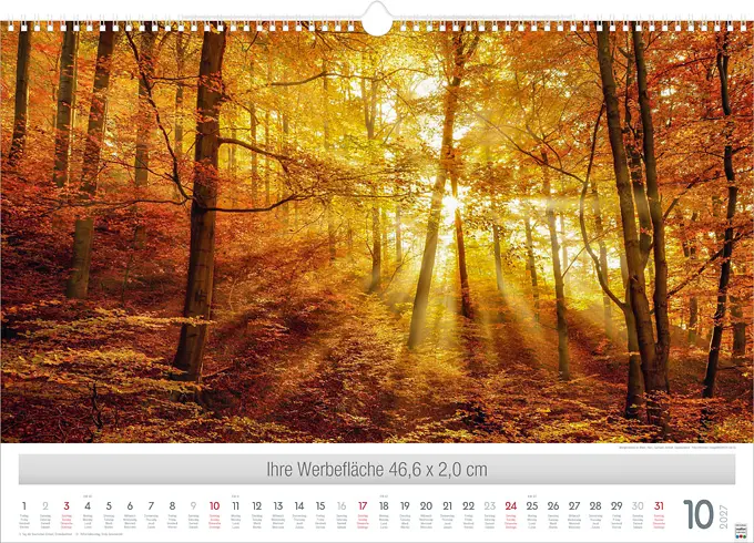 Wunderwerke der Natur