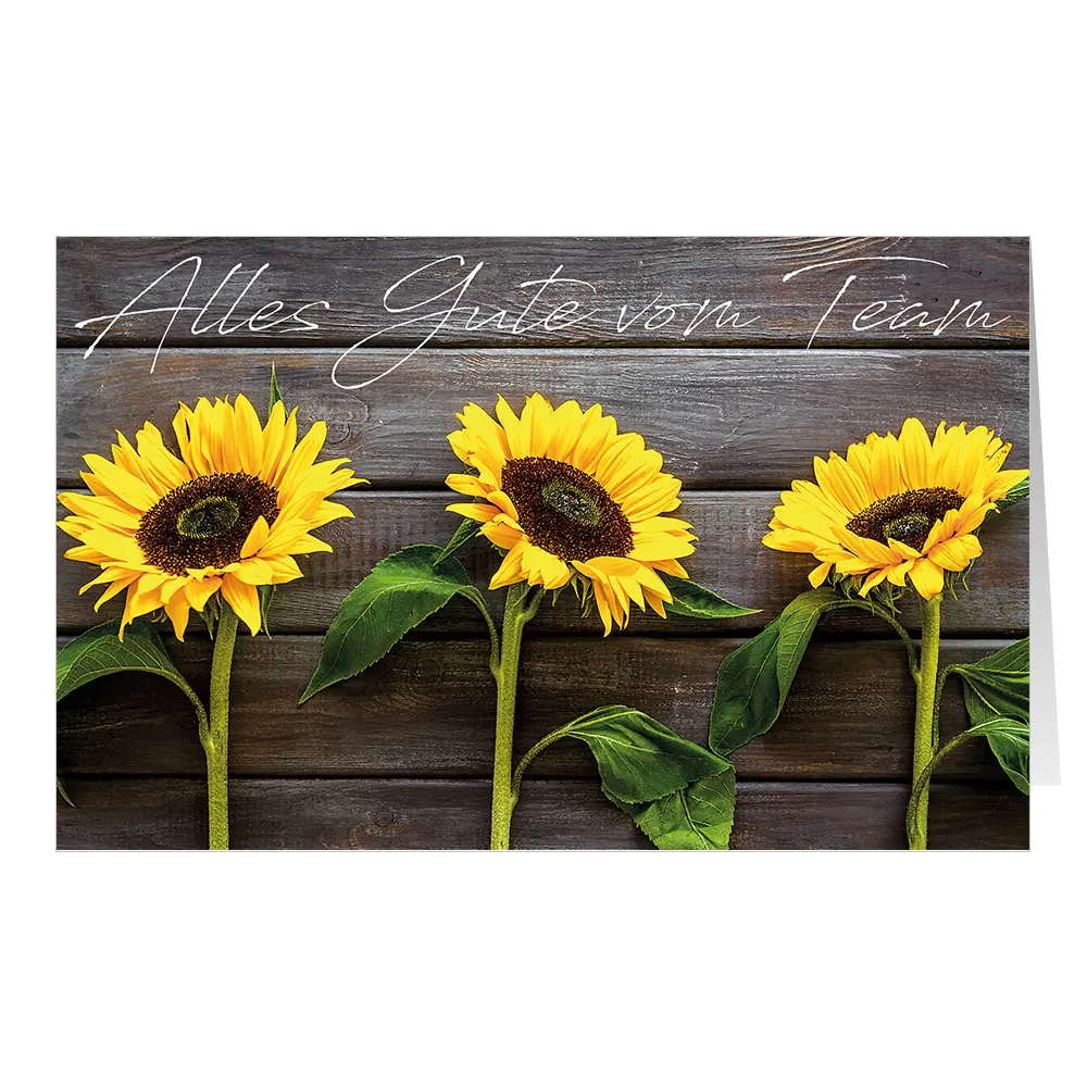 Sunflowers