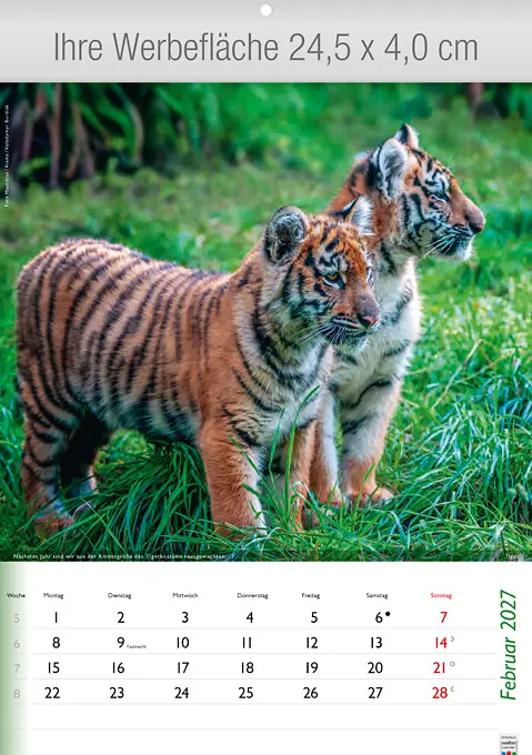 Wunderbare Tiere