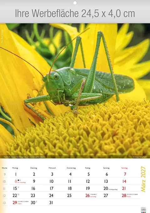 Wunderbare Tiere