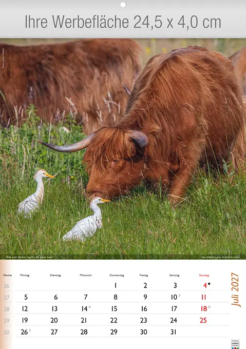 Wunderbare Tiere
