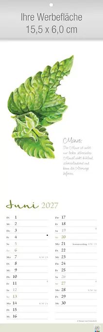 Herbarium