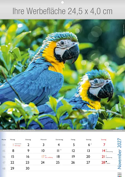 Wunderbare Tiere