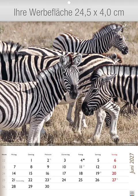 Wunderbare Tiere
