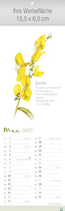 Herbarium