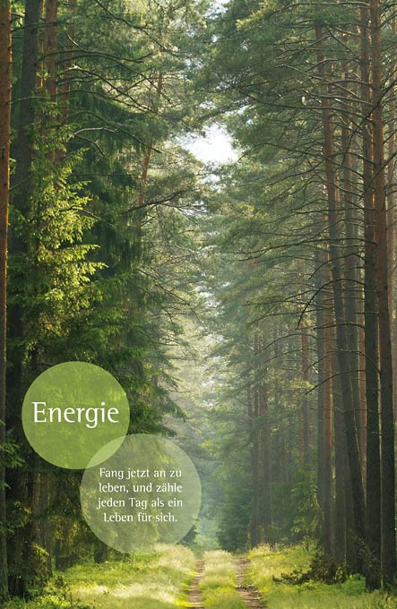 Motivationsbild - Wald - Energie